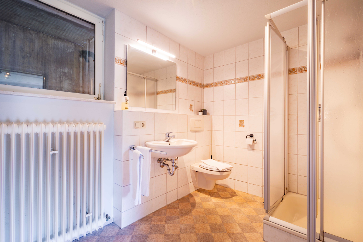 kuckucksnester_titisee_haus_an_der_sonne_rotkehlchen_04.webp