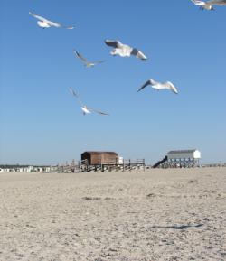 Lieblingsplatz Strandhotel – Impression in St. Peter-Ording (24)