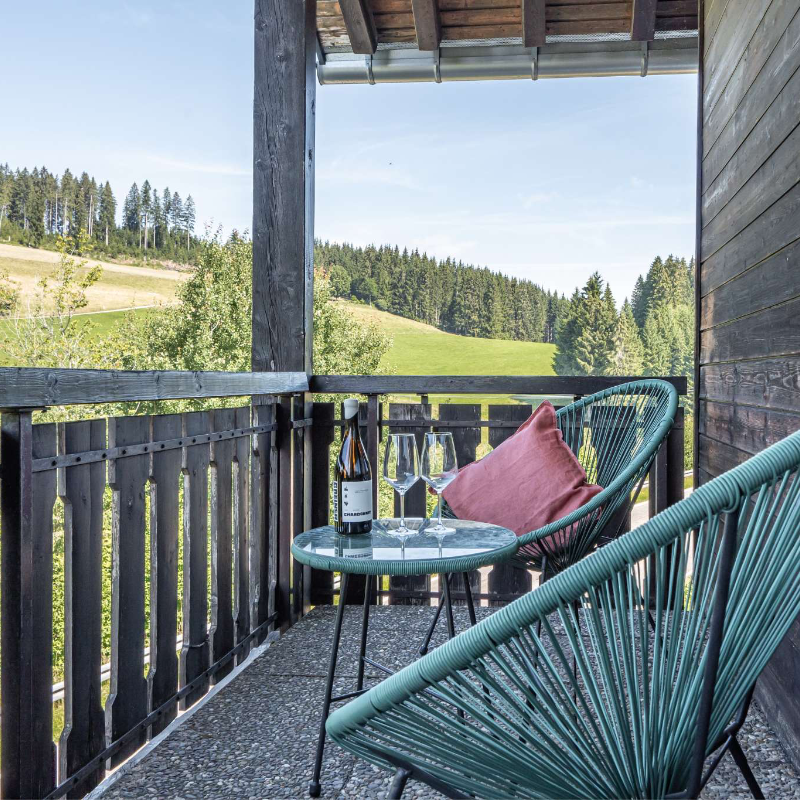 stuub Jostal – Impression in Titisee-Neustadt (11)